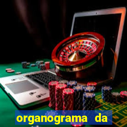 organograma da cacau show